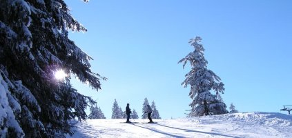 Winter in Spindlermühle | Hotel Start